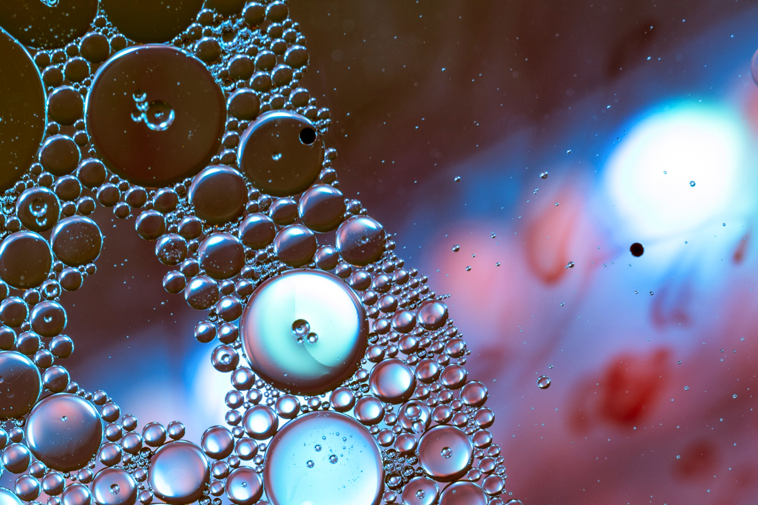 enzymes